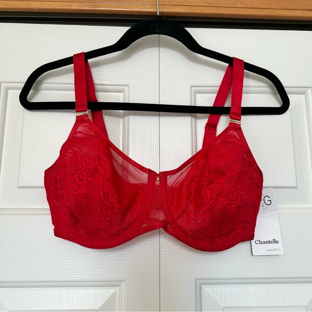 Chantelle Full Coverage Bra Size 32DDDD
